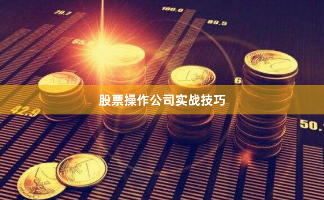 股票操作公司实战技巧